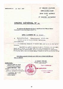 403-PEKINOIS VERT - MICHEL BUAILLON (59)